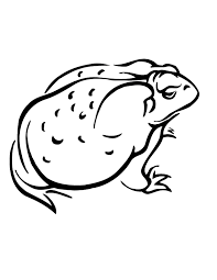 Total whoppers, these frogs can grow to 15 inches and weigh up to seven pounds. Amphibian Coloring Pages Coloring Home