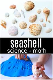 Think toddlers aren't ready to learn math? Seashell Science And Math Fantastic Fun Learning