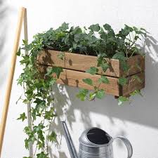 Ikea Stj Auml Rnanis Blumenkasten F Uuml R Drau Szlig En Akazie In 2020 Blumen In Einer Schachtel Blumenkasten Topfblumen