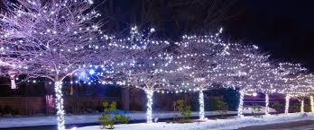 Denver Christmas Lights Outdoor Lighting In Denver Colorado Holiday Lights Mountain High Savatree