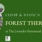 Forest Therapy at The Lavender Homestead in Suring, WI