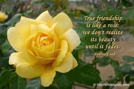 Giving your lover the wrong color rose could send the wrong message. 10 Yellow Roses Friendship Quotes Rose Quotes Friendship Rose Friendship Quotes