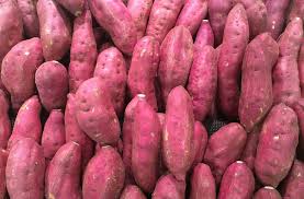 Cangkok merupakan perkembangbiakan tanpa kawin dengan cara menumbuhkan akar dari batang tanaman yang dicangkok. 3 Contoh Tanaman Umbi Akar Dan Gambarnya Dosenpertanian Com