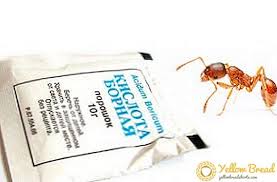 But this chemical does carry some risks and so how exactly does boric acid work to kill and control insects? Boric Acid How To Get Rid Of Ants In The Garden Garden