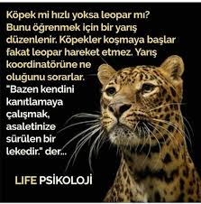 Nilgun Oktay Adli Kullanicinin Poetry 3 Siirler Sozler Panosundaki Pin 2020 Kosma Psikoloji Leopar