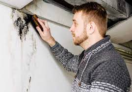 Be careful not to dispose of anything before it's been photographed and inventoried, just in the event you need to. How To Get Rid Of Mold In The Basement 8 Easy Steps Oh So Spotless