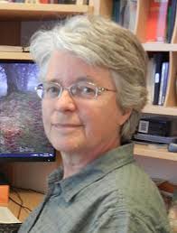 Anthroposophical Society in Canada