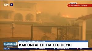 Η πυρκαγιά βρίσκεται ένα βήμα πριν από τη θάλασσα, αφού «έσπασε» τη γραμμή άμυνας των πυροσβεστικών. Towtsinfkvbhcm
