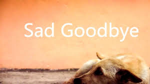 The best memes from instagram, facebook, vine, and twitter about sad goodbye. 10 Sad Goodbye Images