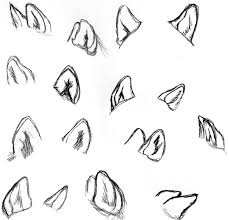 How To Draw Wolves Wolf Study Ears By Wolfsilvermoon Drawings Animal Drawings Sketches Gather round, let me tell you a fun thing about my. how to draw wolves wolf study ears
