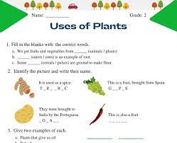 Meritnation offers second grade science unlimited practice questions, tests, downloadable worksheets and study material in the form of videos and animations meta keywords. Uses Of Plants Worksheet For Grade 2