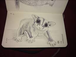 We did not find results for: Mnaitodesigns Keeping It Real One Drawing At A Time Sugar Glider Archives Mnaitodesigns Keeping It Real One Drawing At A Time