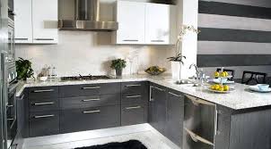 Modern And Contemporary Look In Your Kitchen With European Cabinets These Cabinets Are Framele Contemporary Kitchen Design Contemporary Kitchen Kitchen Design