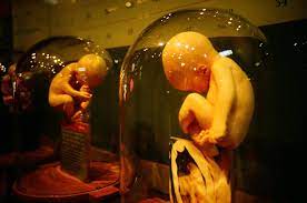 鏡子世界 the world of mirrors. é¦™æ¸¯ç§'å­¸é¤¨ Hong Kong Science Museum Lomography