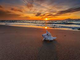 Download beach background and use any clip art,coloring,png graphics in your website, document or presentation. Beach Sunset Wallpaper Hd Hd Desktop Backgrounds Beach Sunset 1024x768 Wallpaper Teahub Io