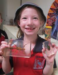 SCHOOL NEWS Term 4, Week 8 Edi the Egret