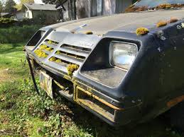 Image result for Heather Mist 1982 Dodge