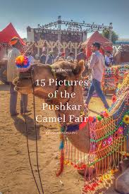 How many camels am i worth. Pin On Bucketlist