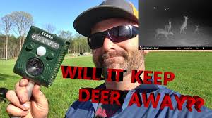 To keep deer out, a fence should. A Gadget That Will Keep Deer Out Of Your Garden It Actually Works Youtube