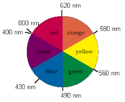 Color And Transition Metal Complexes