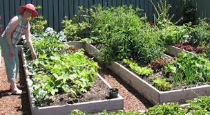 5 Secrets Pour Un Jardin Presque Sans Travail Jardinage Jardin En Carre Jardins