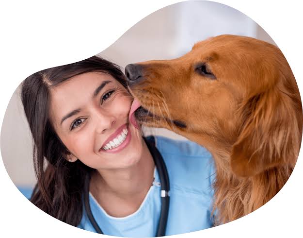 -Dr. Ilaria Bernotti, DVM