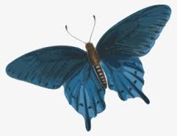 Maybe you would like to learn more about one of these? Pink Transparent Butterfly Gif Transparent Png 566x450 Free Download On Nicepng