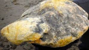 Ambergris floats and washes ashore most frequently. Oqxnn8vfnvqrvm