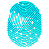 Polygraph tests as evidence in court lie detector tests are not routinely used in courts in england and wales. Polygraph Detector Femida