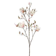 Magnolia flowers bloom in a variety of shapes such as stars, bells, cups and saucers that are beautiful in flower arrangements, notes fine gardening. Primrue Faux Magnolia Stems Wayfair