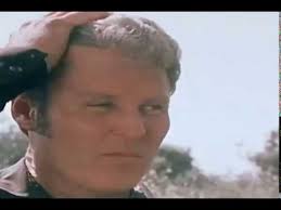 Pat Stiener from FL USA Skateboarding Global Ranking Profile Bio, Photos,  and Videos