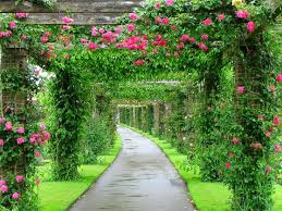 Pixdaus Page 6 Of New Nature Photographs Photos Beautiful Gardens Most Beautiful Gardens Kew Gardens