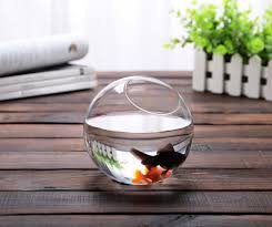 Feel like an easy diy project this weekend? Dia12cm Round Glass Bowl Vase Succulent Terrarium Glass Fish Aquarium Landscape Kit Gift Event Party Wedding Home Decor X 30 Vase Succulents Glass Bowl Vasesround Glass Bowl Vase Aliexpress