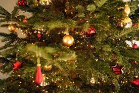 Maybe you would like to learn more about one of these? Where To Buy Christmas Trees In Orlando