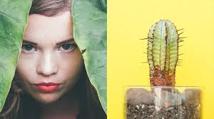 Influencer-Kampagne für Schwäbisch Hall: Ogilvy lässt die junge Zielgruppe  ihr Traumhaus der Zukunft kreieren