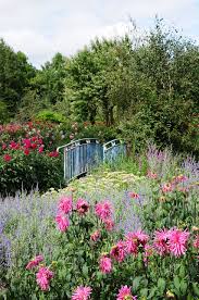 Le Jardin Van Beek Dans L Oise Avis Conseils Informations Pratiques Jardin Rose Jardins Jardin Extraordinaire
