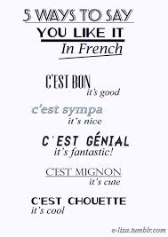 You Like It In French Pardonnez Mon Francais Je Suis Desole Mais Je Ne Parle Pas Bien Le Francais How To Speak French Teaching French Learn French