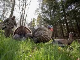 Turkey country is committed to upholding lawful, ethical and safe sport hunting and other outdoor pursuits; Turkey Hunting Outdoors Unlimited Media And Magazine