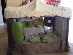 Pin By Marcie Skanes On Parenting Pack N Play Toddler Bed Toddler Bed Boy Diy Toddler Bed