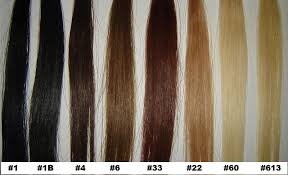 Brazilian Hair Color Chart Brazilian Hair Color Ideas