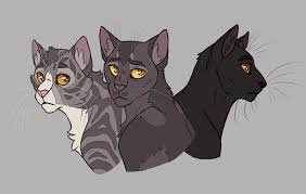 Rowanstar Is Trans Pebble Heart Gray Wing And Sun Shadow For My Warrior Cats Warrior Cats Art Warrior Cat Drawings (keep in mind none of these drawings are mine!). warrior cats art warrior cat drawings