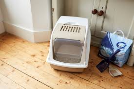 But if you are not into this option, there are many other excellent products that fit your budget. Cat Litter Tray Advice Battersea Dogs Cats Home