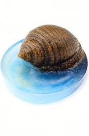Amalric Walter Nancy Bulot Vide Poches 1920s H 6 Cm 10 X 6 5 Cm Pate De Verre Blue Textured Horn Snail With Brown Fusions S Snail 10 Things Texture