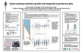 Xylem anatomy mediates growth and longevity...