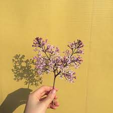 Select silk, artificial silk, plastic, or fabric. Pin By Marie Steffenssen On Hand Aesthetic Flower Art Yellow Aesthetic Flowers