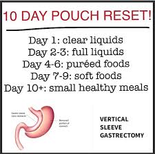 10 Day Pouch Reset Sleeve Surgery Diet Pouch Reset Bariatric Sleeve