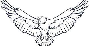 Saya sudah merangkum 15 jenis makanan burung lovebird yang bagus dan menyehatkan. Gambar Sketsa Burung Keren Yang Mudah Dibuat Dan Diwarnai