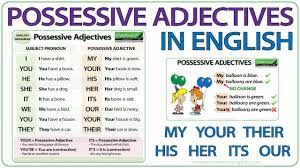 Possessive Adjectives In English Grammar