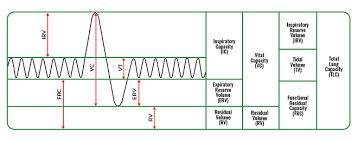 Image result for Functional Residual Capacity