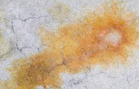There are various ways to remove rust stains from wood counter tops. How To Remove Old And New Rust Stains From Concrete Lovetoknow